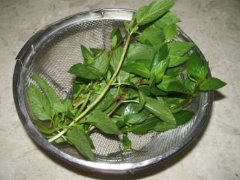 f:id:bzn-a:20080821231744j:image f:id:bzn-a:20080821231744j:image