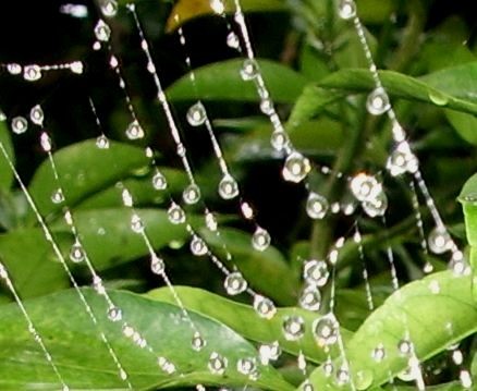 f:id:bzn-a:20080826120733j:image