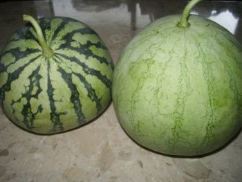 f:id:bzn-a:20080831000155j:image