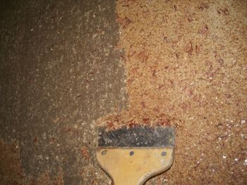 f:id:bzn-a:20080902222026j:image