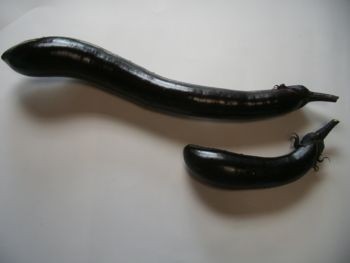 f:id:bzn-a:20080919231100j:image f:id:bzn-a:20080919231100j:image