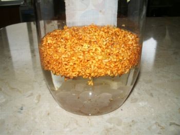 f:id:bzn-a:20081003204106j:image