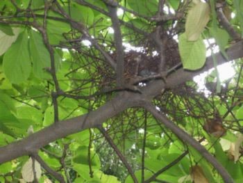 f:id:bzn-a:20081012002032j:image
