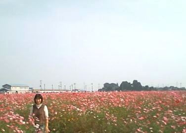 f:id:bzn-a:20081022223425j:image