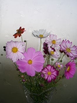 f:id:bzn-a:20081022223426j:image