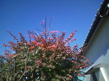 f:id:bzn-a:20081106001555j:image