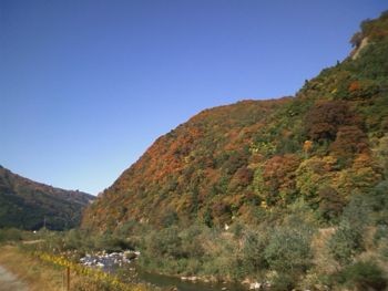 f:id:bzn-a:20081106002111j:image
