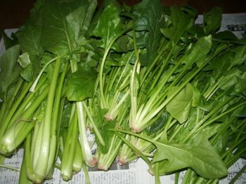 f:id:bzn-a:20081108221031j:image