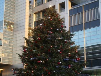 f:id:bzn-a:20081123003140j:image f:id:bzn-a:20081123003140j:image