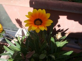 f:id:bzn-a:20081130214707j:image