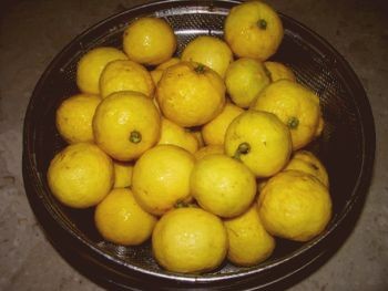 f:id:bzn-a:20081203002443j:image