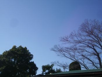 f:id:bzn-a:20090111182831j:image f:id:bzn-a:20090111182831j:image