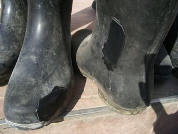 f:id:bzn-a:20090119204831j:image