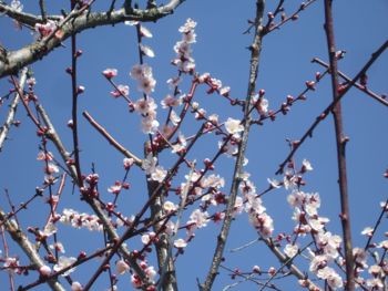 f:id:bzn-a:20090310221847j:image f:id:bzn-a:20090310221847j:image