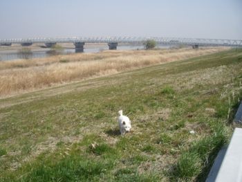 f:id:bzn-a:20090319214044j:image