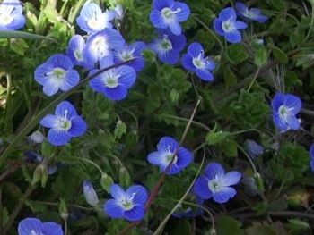 f:id:bzn-a:20090319214045j:image