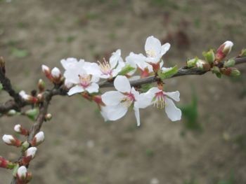 f:id:bzn-a:20090324220121j:image f:id:bzn-a:20090324220121j:image