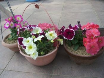 f:id:bzn-a:20090419225648j:image