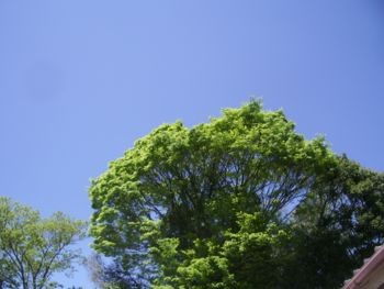 f:id:bzn-a:20090427213932j:image f:id:bzn-a:20090427213932j:image