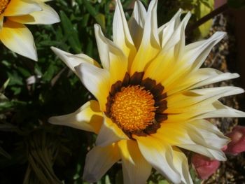 f:id:bzn-a:20090427214839j:image f:id:bzn-a:20090427214839j:image