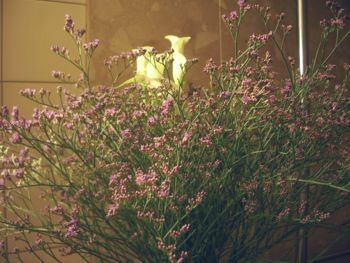 f:id:bzn-a:20090617234743j:image f:id:bzn-a:20090617234743j:image