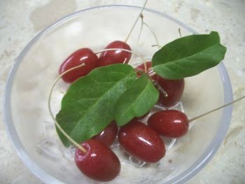 f:id:bzn-a:20090618225105j:image