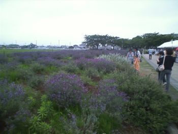 f:id:bzn-a:20090622234912j:image