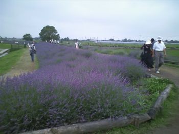 f:id:bzn-a:20090622235642j:image