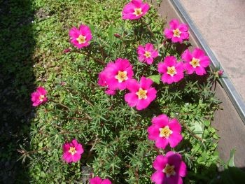 f:id:bzn-a:20090824214518j:image f:id:bzn-a:20090824214518j:image