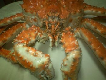 f:id:bzn-a:20090927230623j:image f:id:bzn-a:20090927230623j:image