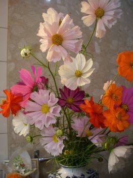 f:id:bzn-a:20091024221432j:image