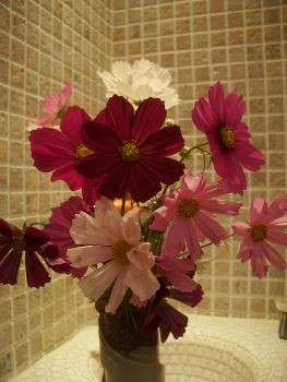 f:id:bzn-a:20091024222518j:image