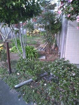 f:id:bzn-a:20091114221012j:image f:id:bzn-a:20091114221012j:image