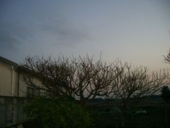 f:id:bzn-a:20100111230058j:image