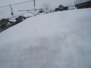 f:id:bzn-a:20100118180556j:image f:id:bzn-a:20100118180556j:image