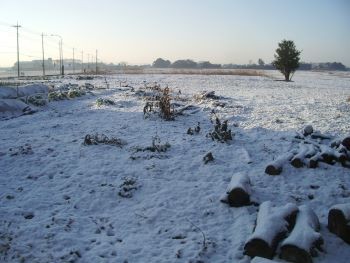 f:id:bzn-a:20100202224140j:image