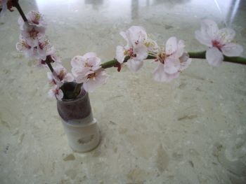 f:id:bzn-a:20100316221357j:image f:id:bzn-a:20100316221357j:image