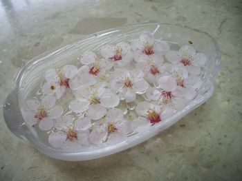 f:id:bzn-a:20100316221358j:image f:id:bzn-a:20100316221358j:image