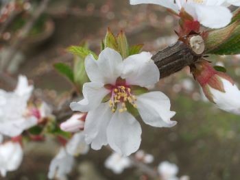 f:id:bzn-a:20100326224458j:image