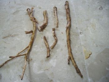 f:id:bzn-a:20100401233207j:image