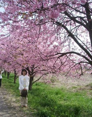 f:id:bzn-a:20100404002953j:image