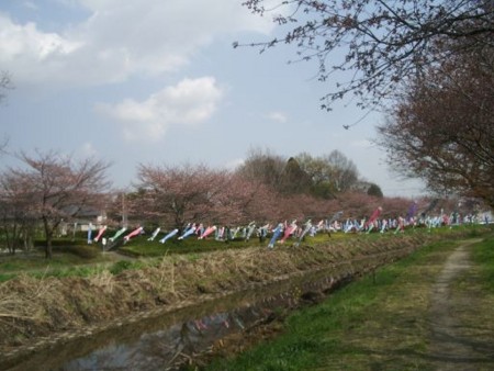 f:id:bzn-a:20100404003048j:image