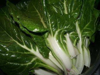 f:id:bzn-a:20100419221422j:image