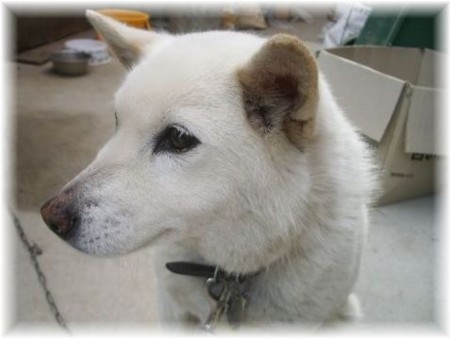 f:id:bzn-a:20100428210004j:image