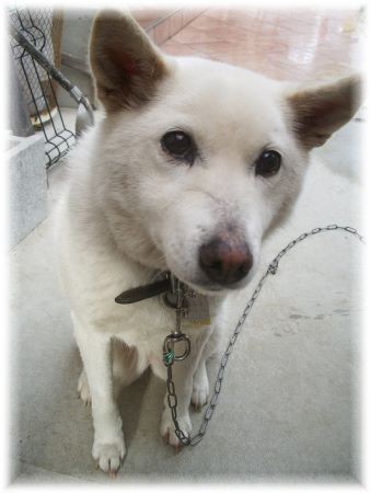f:id:bzn-a:20100428210005j:image