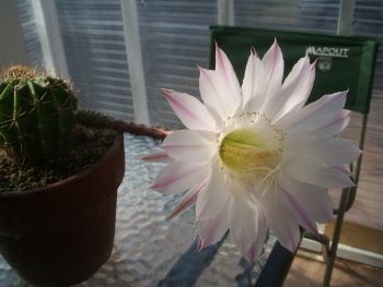 f:id:bzn-a:20100522001308j:image