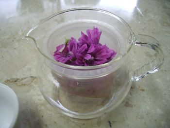 f:id:bzn-a:20100525214357j:image
