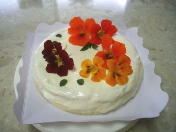 f:id:bzn-a:20100530224835j:image