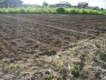 f:id:bzn-a:20100616214338j:image