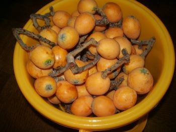 f:id:bzn-a:20100619183544j:image